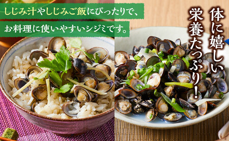 漁師直送!宍道湖産ヤマトシジミ・Mサイズ冷凍2.4kg