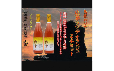 島根わいん 出雲デラウェア オランジュ 2本セット