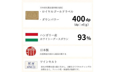 ゴア 羽毛ふとん ホワイトグース トレニアH:ブルー系