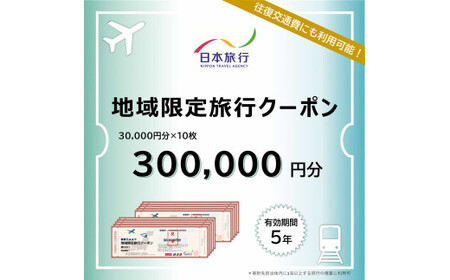 島根県出雲市　日本旅行　地域限定旅行クーポン300,000円分