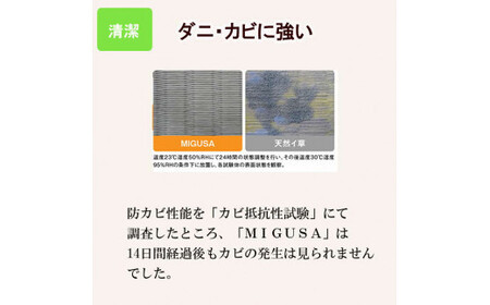 MIGUSAキッチンマット(1.8m-オータムリーブス)