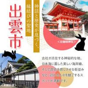 【出雲市】JTBふるさと旅行クーポン（30,000円分）有効期間3年（Eメール発行）｜予約 宿泊 観光 体験  温泉 ホテル 旅館 チケット 子供 子連れ カップル 家族 店頭 オンライン ネット 電話 出雲