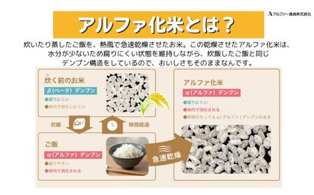 非常食10日分30食【5分でできるアルファ米+野菜スープ 玄米セット】防災 備蓄/食物アレルギー対応