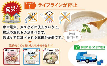 非常食10日分 7年保存【レトルト ぜんざいおはぎ】水不要/防災 備蓄/介護/食物アレルギー対応