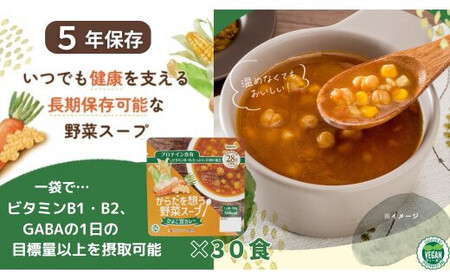 【からだを想う野菜スープ】ひよこ豆カレー30食セット/レトルト/食物アレルギー対応/長期保存/防災食