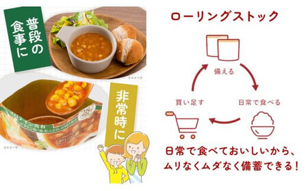 【からだを想う野菜スープ】ひよこ豆カレー30食セット/レトルト/食物アレルギー対応/長期保存/防災食