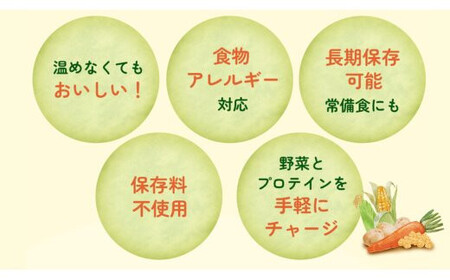 【からだを想う野菜スープ】ひよこ豆カレー10食セット/レトルト/食物アレルギー対応/長期保存/防災食