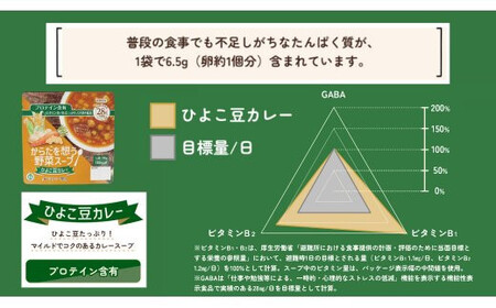 【からだを想う野菜スープ】ひよこ豆カレー10食セット/レトルト/食物アレルギー対応/長期保存/防災食