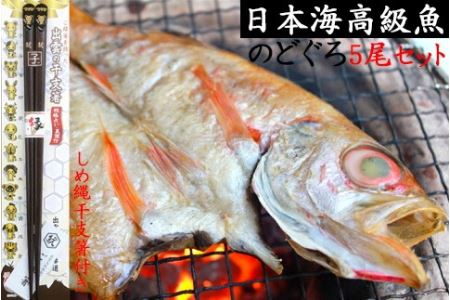 日本海高級魚のどぐろ5尾(しめ縄干支箸付)【1-018】