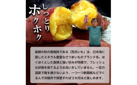 西浜いも(べにはるか)5kg