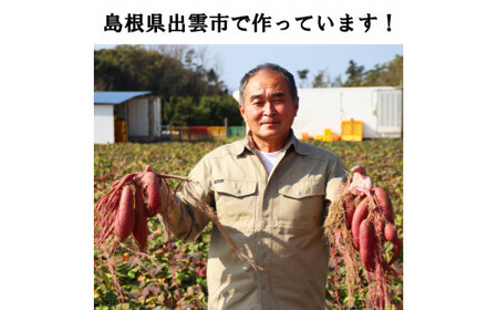 西浜いも(べにはるか)5kg