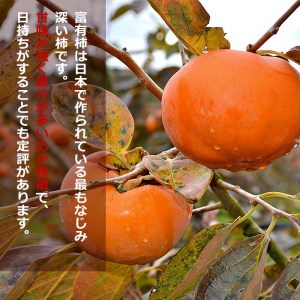 ひらたの柿　富有柿【1-095】