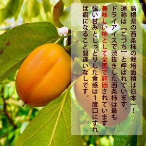 ひらたの柿　西条柿【1-096】