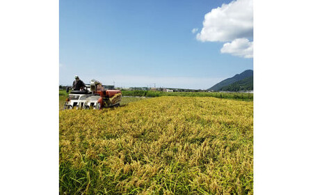 出雲からお届けする有機JAS認証 玄米おにぎり35g10個入り×4袋