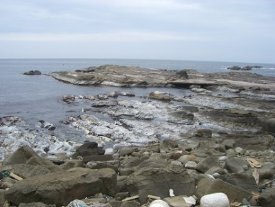 十六島海苔佃煮40g 3個セット 1 127 島根県出雲市 ふるさと納税サイト ふるなび