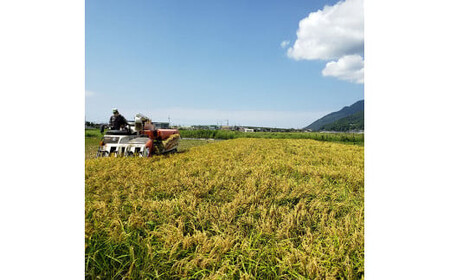 かむほどに口に広がる美味しさ 玄米おかき「いづも美人」