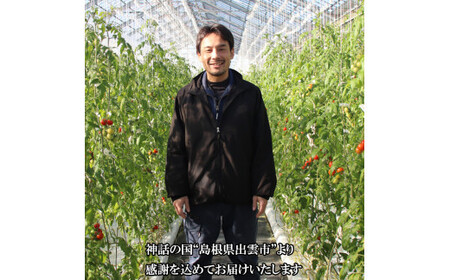 出雲の國からの贈り物～トマトを超えた超トマト２kg