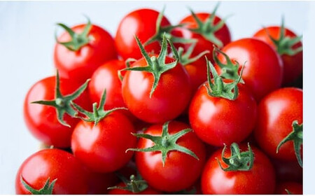 出雲の國からの贈り物~超トマト1kg&ジュース1本