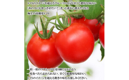 出雲の國からの贈り物~超トマト1kg&ジュース1本