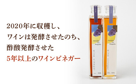 ワインビネガー2020年紅白200ml 2本セット