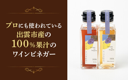 ワインビネガー2020年紅白100ml 2本セット