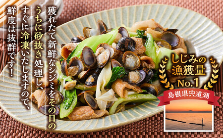 漁師直送！宍道湖産ヤマトシジミ・Lサイズ冷凍4kg