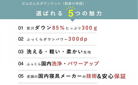洗える 羽毛 肌掛け布団 1枚 日本製 シングル ダックダウン85％ 夏用