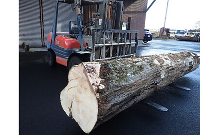 榧(かや)のまな板【特大】