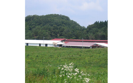 藤増 しまね和牛小間切り 600g【冷蔵】