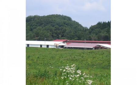 藤増 しまね和牛モモ スライス 700g【冷蔵】