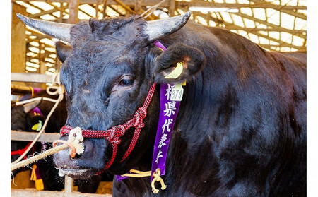 藤増 しまね和牛肩ロース スライス 550g【冷蔵】