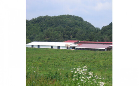 藤増 しまね和牛肩ロース スライス 850g【冷蔵】