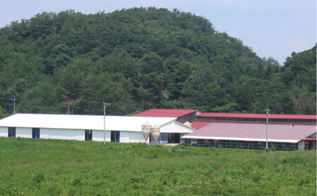 藤増 しまね和牛小間切り 1200g【冷蔵】