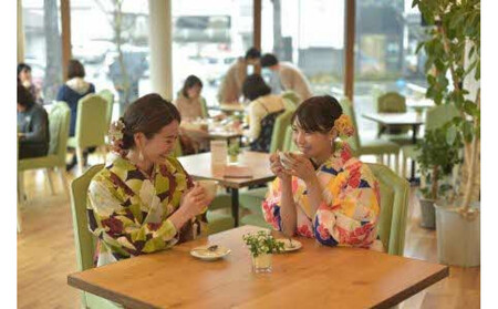 着物レンタル着付け　きもの選べるプラン