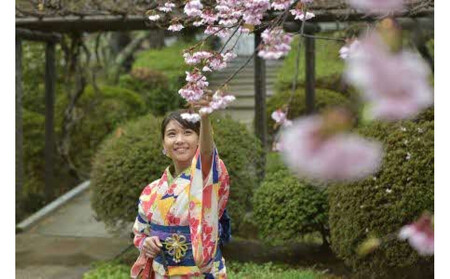 着物レンタル着付け　きもの選べるプラン