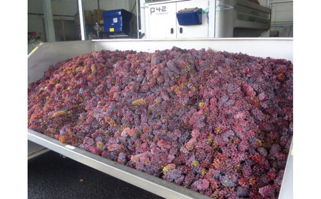 100%ぶどうジュースデラウェア4本セット