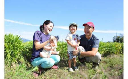 出雲生姜じんじゃエール１０本セット