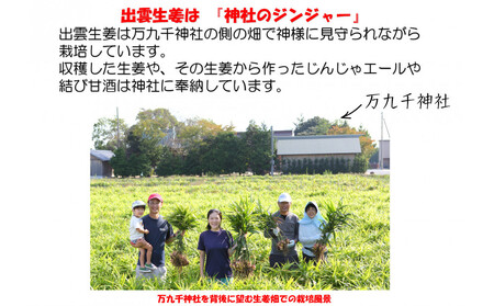 出雲生姜シロップ3本セット