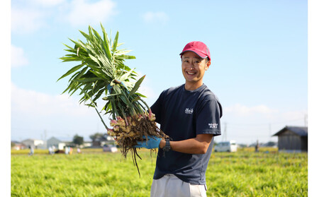 出雲生姜シロップ3本セット