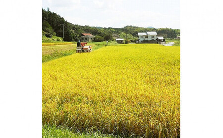 【ふるさと納税】お米 令和7年産 出雲コシヒカリ5kg