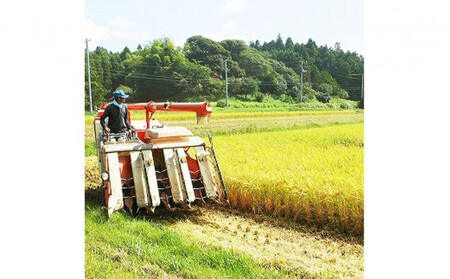 【ふるさと納税】お米 令和7年産 出雲コシヒカリ5k×3袋