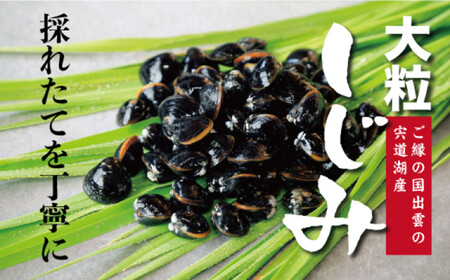 極み！蜆汁（しじみ汁）10食