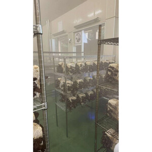 いりすのきのこ　乾燥きくらげ（20g×4パック）