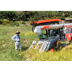 【令和7年産】有機肥料米ナオちゃんのお米【出雲市産きぬむすめ】4kg（1kg×4袋）美味しい お米 精米 贈答 有機栽培 出雲市産