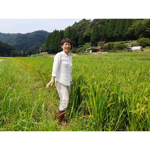 【令和7年産】有機肥料米ナオちゃんのお米【出雲市産きぬむすめ】5kg（1袋）美味しい お米 精米 有機栽培 出雲市産