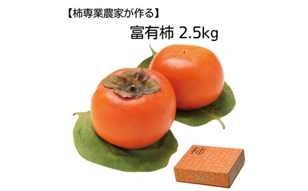 【柿専業の農家が作る】出雲産富有柿 2.5kg【11月下旬以降お届け】