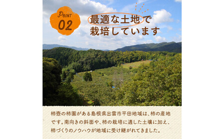 【柿専業の農家が作る】出雲産富有柿 2.5kg【11月下旬以降お届け】