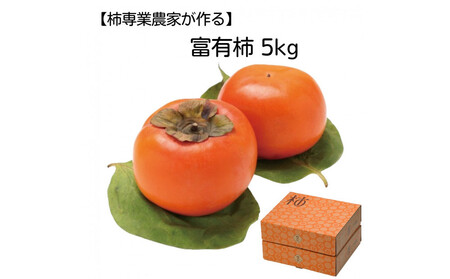 【柿専業の農家が作る】出雲産富有柿 5kg【11月下旬以降お届け】