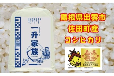 新米予約 出雲市佐田町産コシヒカリ 「一升家族」（白米5.5㎏）【1-232】