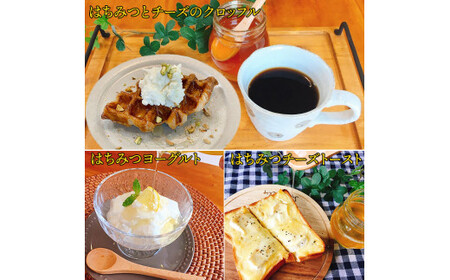 【定期便3回】こだわりの山蜜　出雲はちみつ3個セット